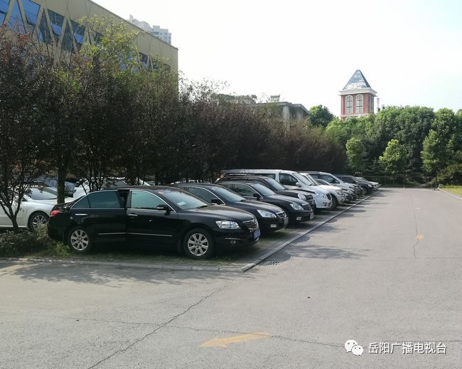 义乌拍卖车牌掀起热潮，旅行探险中寻找内心平静之旅