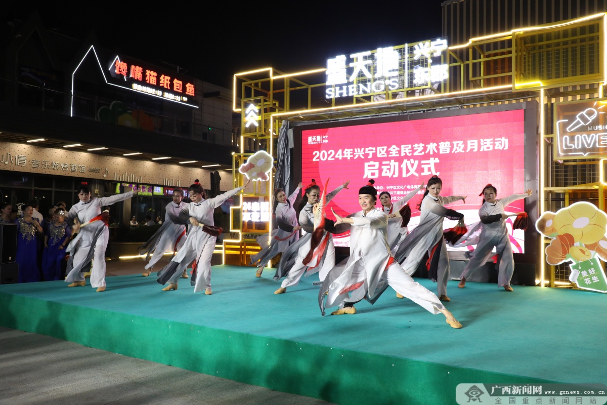 2024年最新广场舞蹈现象探析，某种观点的阐述