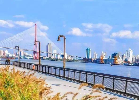 深度解读澄江地区招聘最新信息预测与体验评测，预测澄江招聘最新动态，2024年11月30日