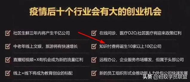 橘虞初梦 第45页