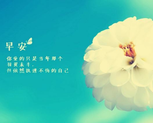 十一月末阳光温暖，最新早安心语祝福