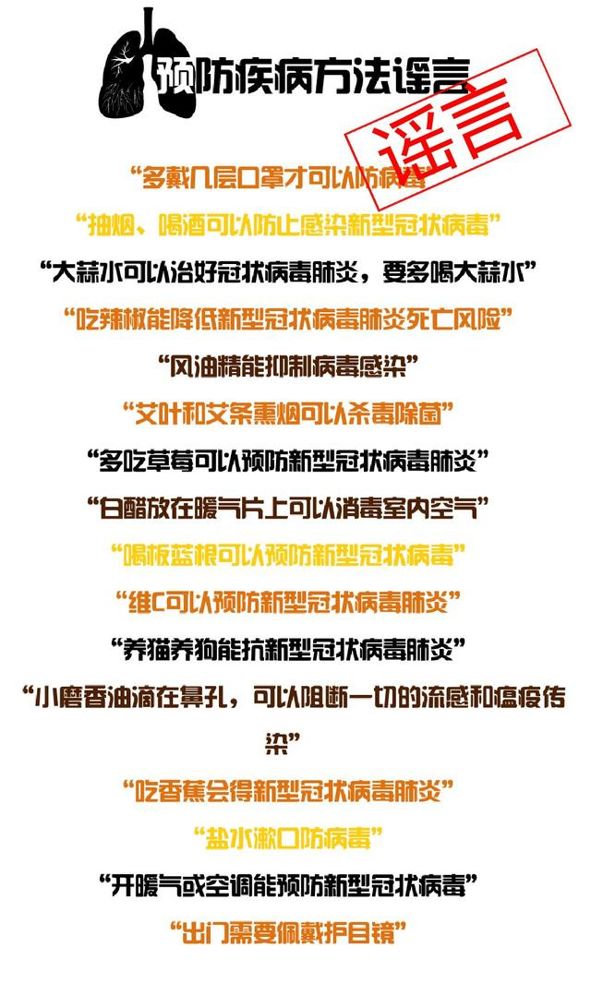 历史上的疫情应对，最新疗法揭秘与必备技能指南（初学者与进阶用户必读）