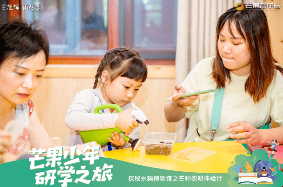 黄金新风尚，探索自然美景之旅，最新套链点亮内心的宁静与平和