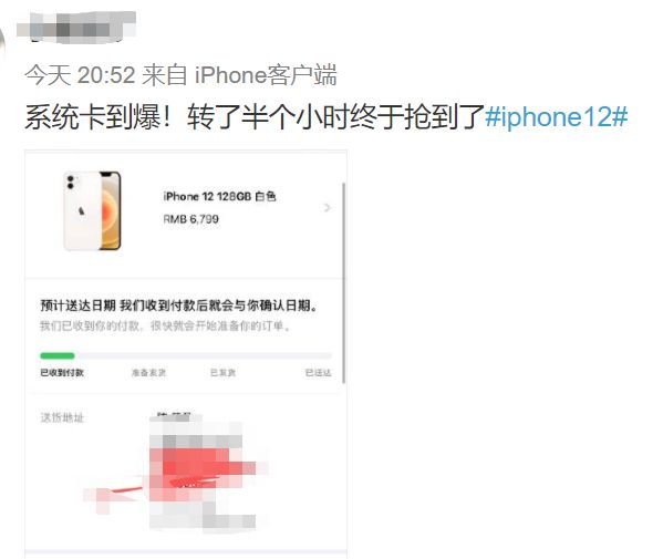 12月热门视频回顾，网友创作热潮与影响力