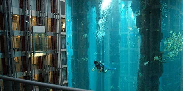 揭秘未来水族科技，2024年智能鱼缸过滤系统全新体验及展望预测（自制鱼缸过滤系统最新趋势）