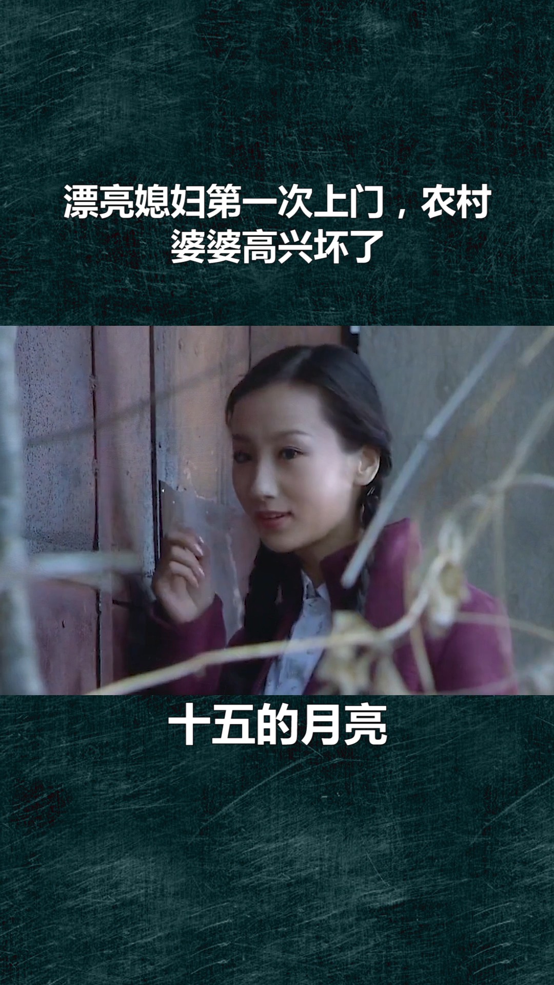 最新章节深度解析，落魄农村媳书评与介绍