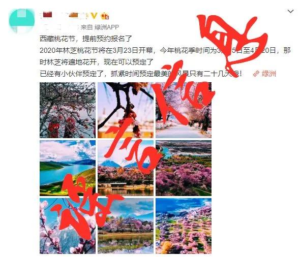 辰溪的抗疫日常，暖阳与爱在行动，12月1日的最新疫情关注