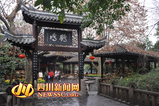 12月1日茶社，历史探秘与自然美景的邂逅，寻找内心宁静之旅