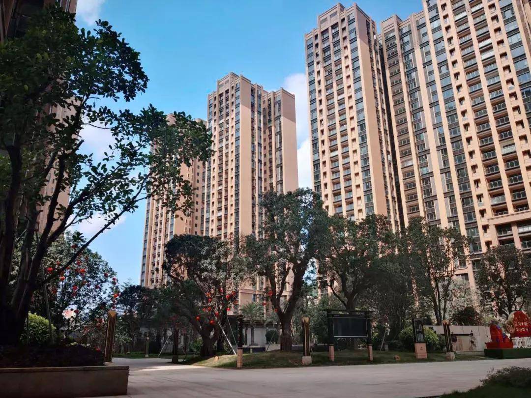 12月长春市热门楼盘深度解析，价值评估与个人观点