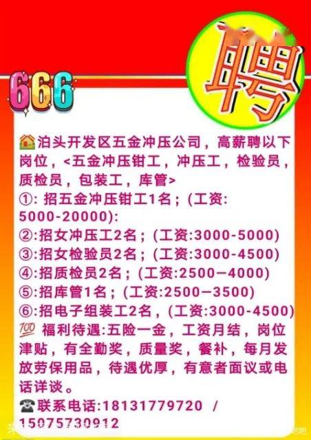 2024年偃师工作招聘热门信息解析，从零开始，顺利找到心仪职位