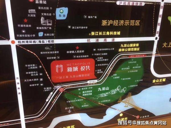 四川南充H7N9最新消息解读与应对指南（初学者到进阶用户全攻略）