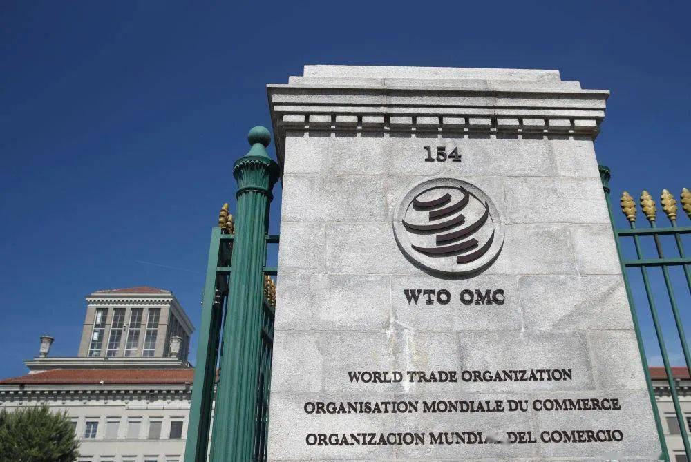 WTO最新动态解读，聚焦往年12月1日的重要消息与动态速递