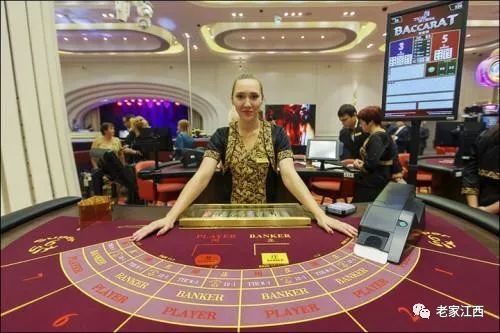 12月四虎娱乐最新动态，跃动之光，展现变化中的自信与成就感