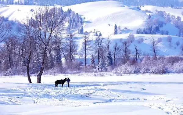 十二月五公同行，寻找内心平静的雪景之旅