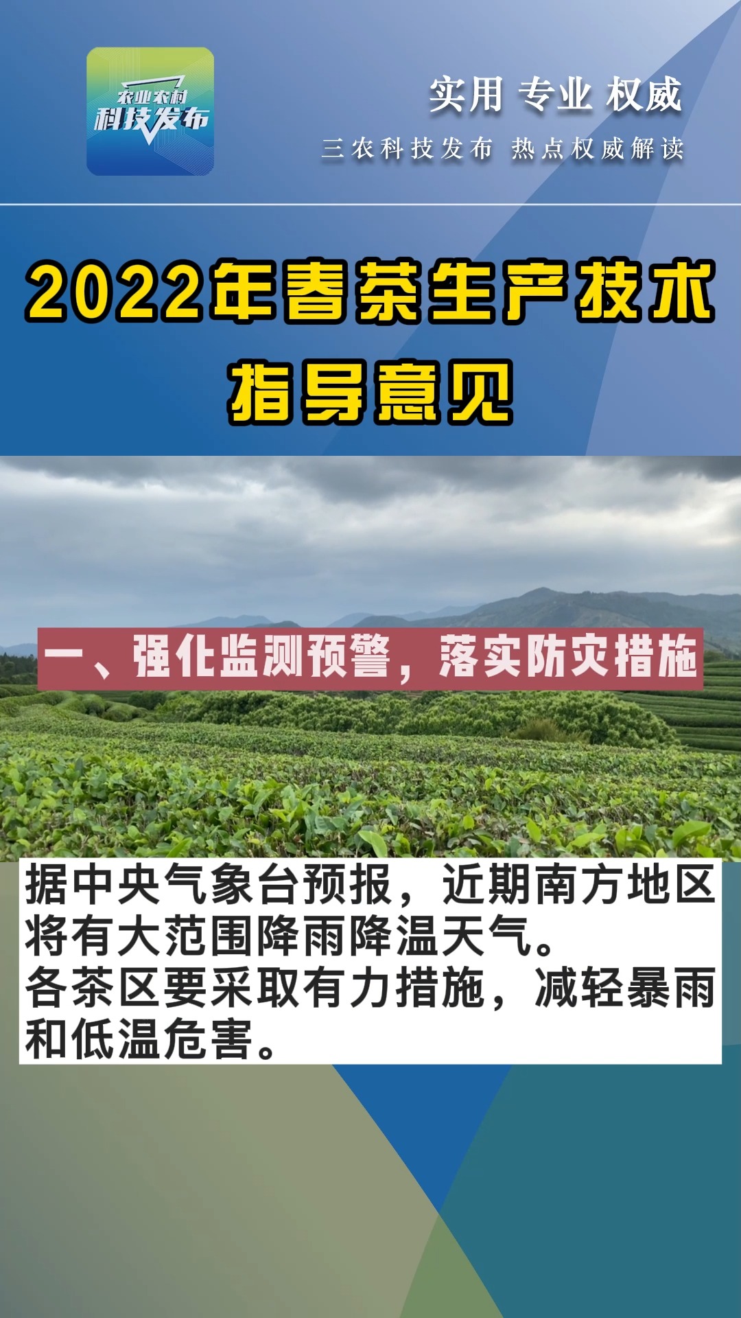 花开无言 第37页
