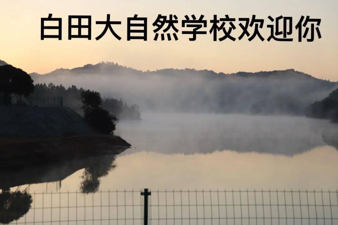 探寻自然秘境，一场真长生的热门之旅（12月2日）