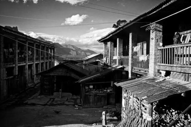 嘉善土地拍卖揭秘，宝藏店与美食冒险之旅的不期之遇