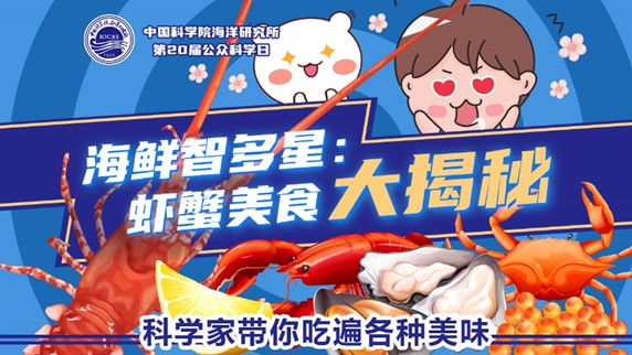 探秘最新古偶短剧，三大看点引领潮流，2024年必追古装短剧！