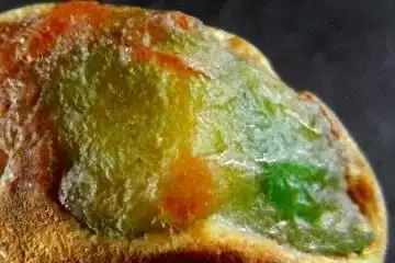 问卷 第349页