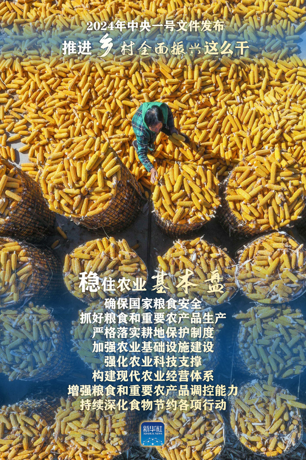 燃情高粱地最新章节猜想与深度解读，预测2024年12月4日更新内容揭秘