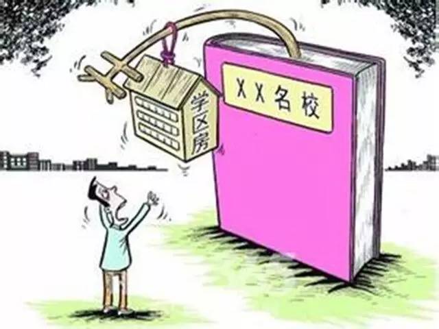 往年12月4日小拉舞风潮，深入探究与论述