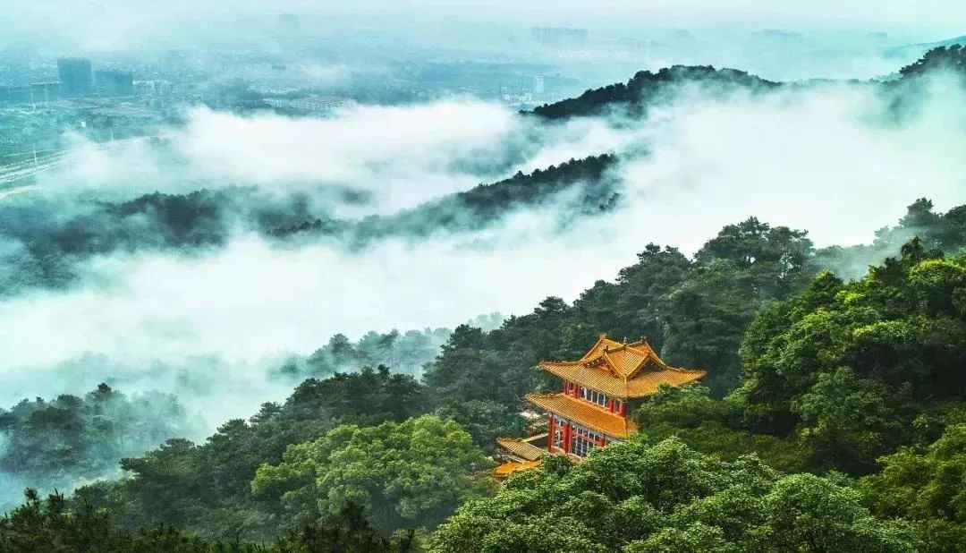 初告白 第36页