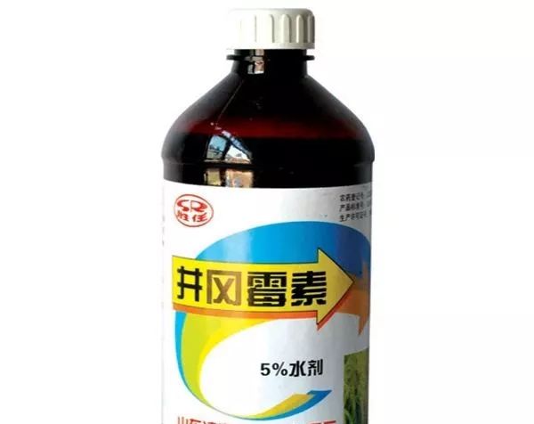 2024年最新杀菌剂全面解析，产品特性、使用体验与目标用户群体探索