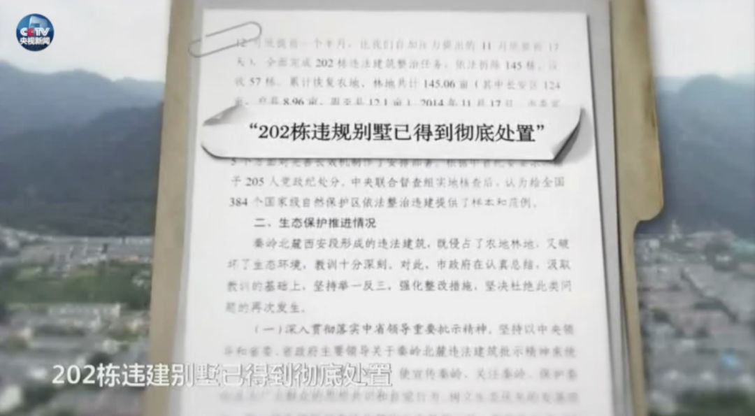 12月中央最新任命背后的深层考量与解读，某某观点探析
