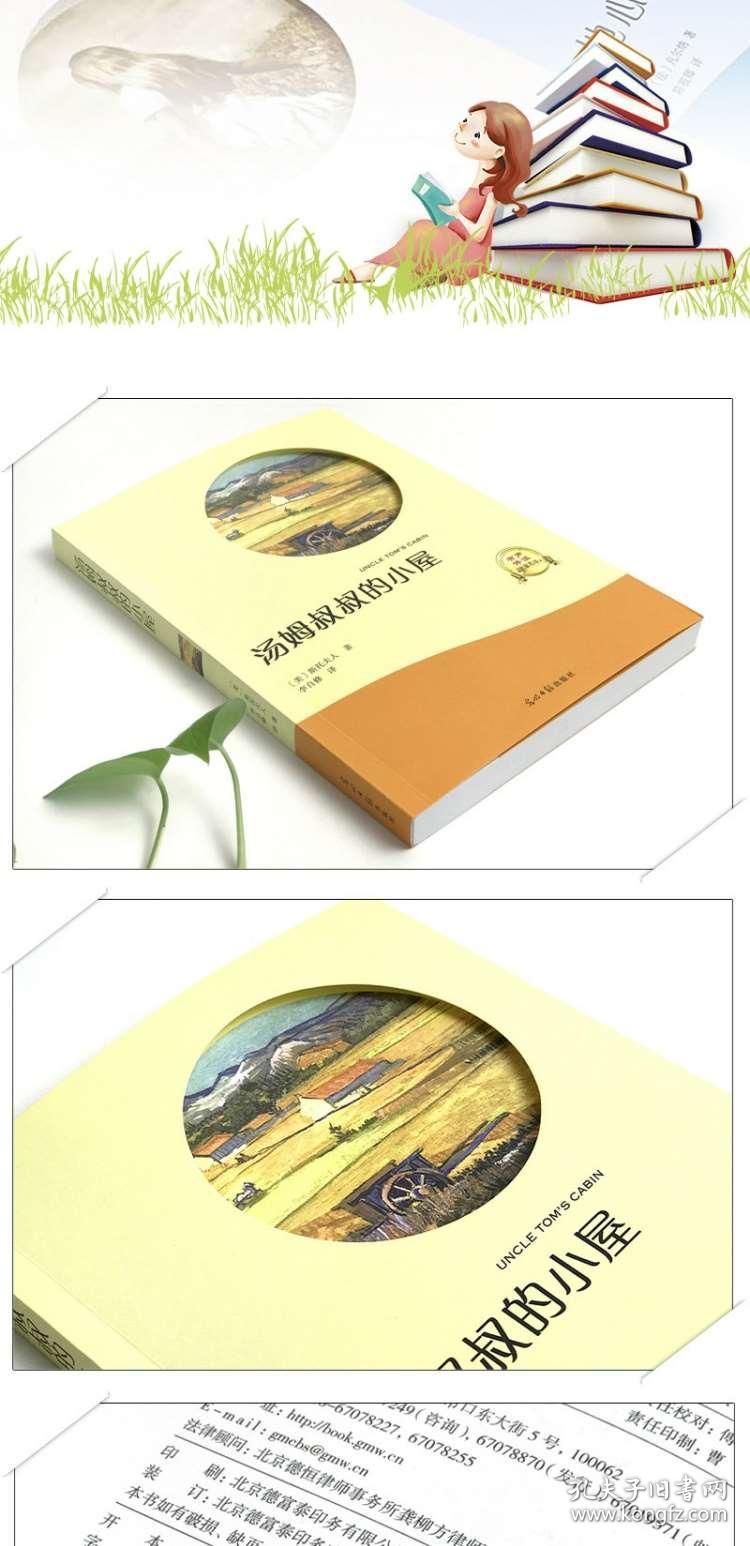 历年与最新动态，汤姆叔叔在小红书上的精彩瞬间回顾与最新动态速递