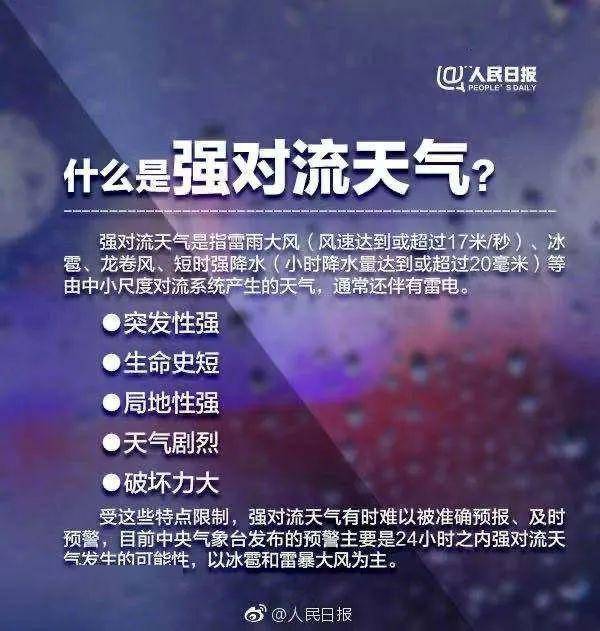 深度解析，历史上的12月4日安提法事件探讨与最新动态