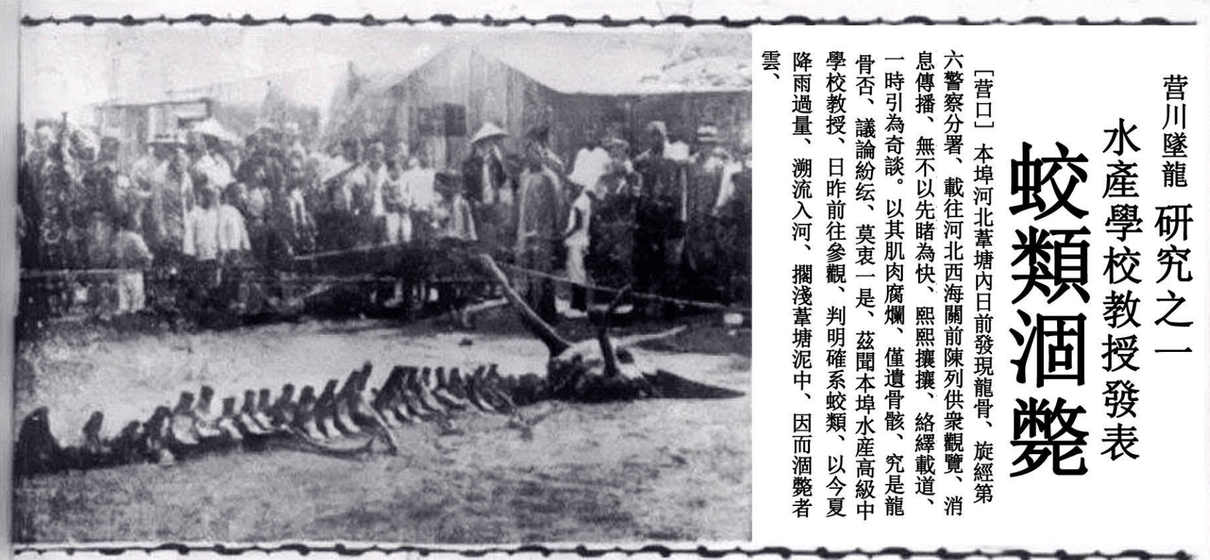 历史上的十二月四日，沙耆事件回顾与影响，热门消息揭秘