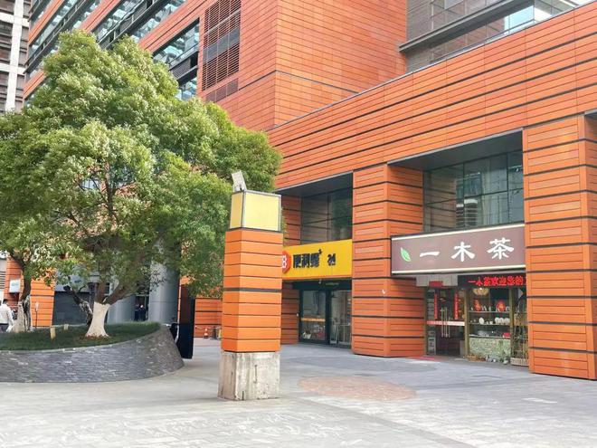 枝城二手房热门信息揭秘，旧房新梦与友情的温馨日常故事