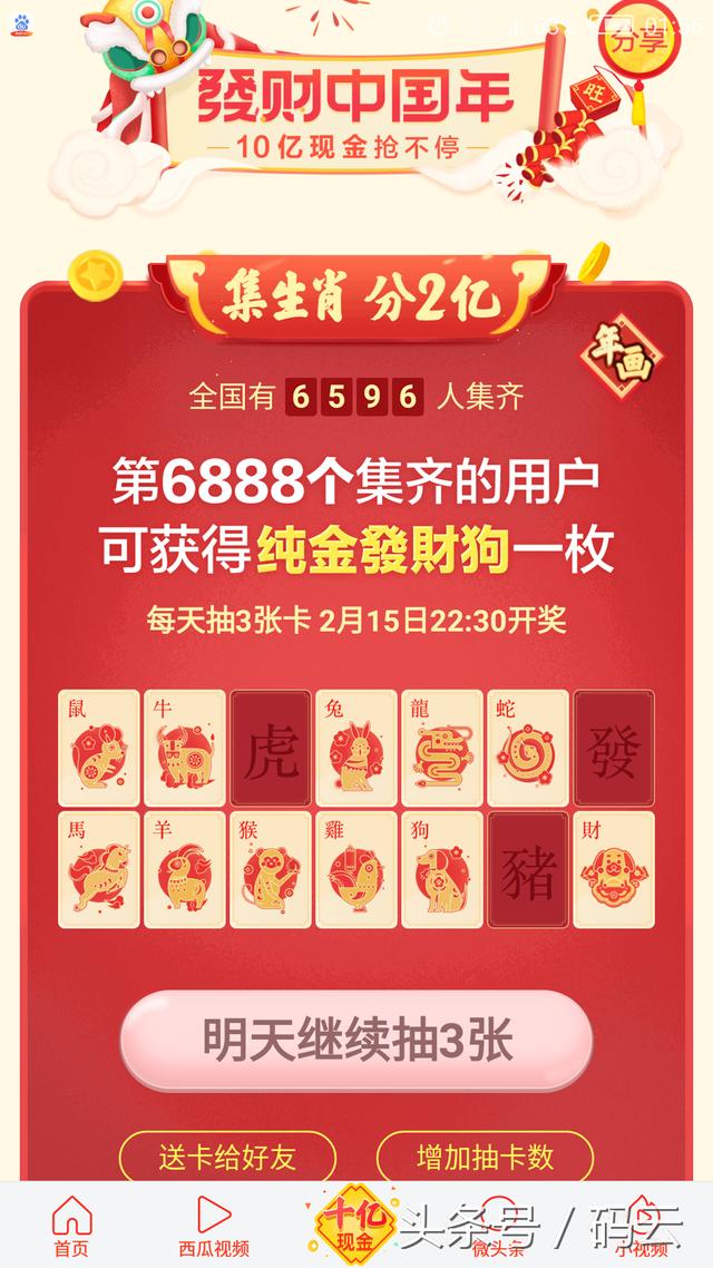 多多福利日预告，惊喜与陪伴，温馨时光里的热门福利展望