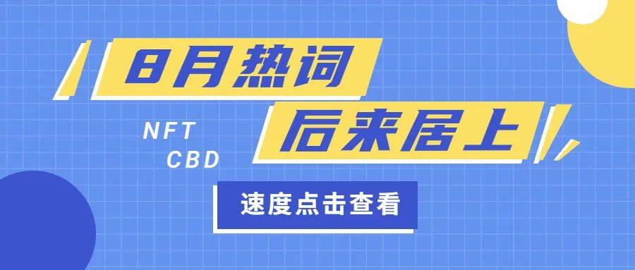 镇雄今日热门招聘现象深度解析，多元观点探析