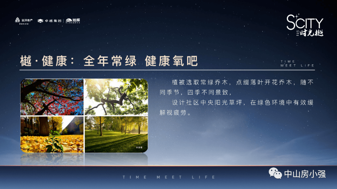 12月无敌觉醒最新章节及其深度解析全揭秘
