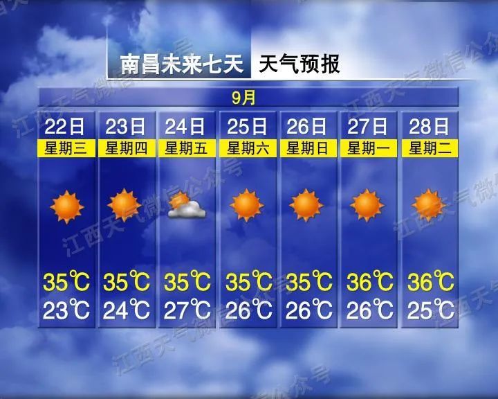驾驭未来浪潮，揭秘2024年12月6日i主题热门版塑造自信与成就之光的学习变化之路