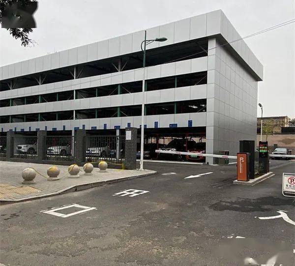揭秘，中牟大蒜市场最新价格动态，独家爆料12月大蒜行情！