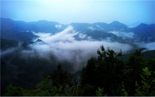 安徽林场秘境探秘，领略自然之美，寻找内心平静之旅的十二月最新消息