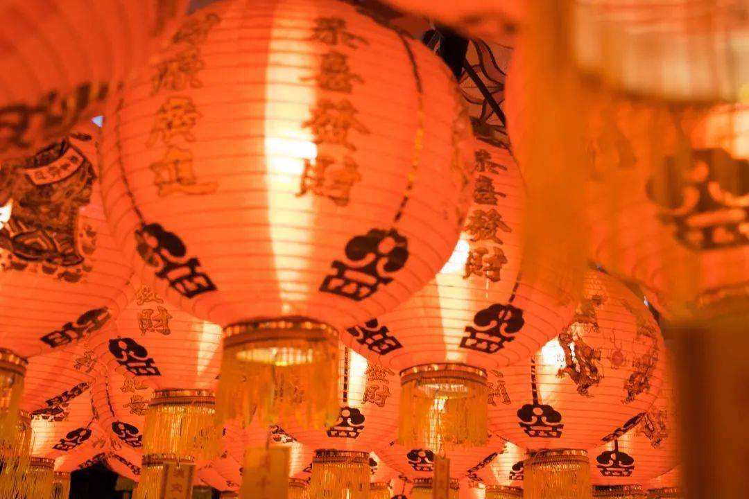 泽塔新形态的日常趣事与温馨友谊的十二月序曲