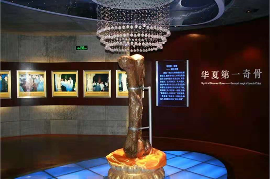 探寻十二月六日的历史印记与重大时刻影响