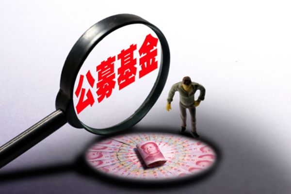 历史上的大选日，12月9日选举流程步骤指南