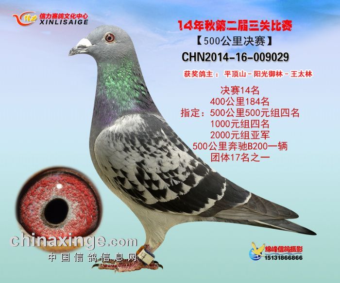 历年12月9日超信公棚回顾与展望，热门消息与大事记聚焦