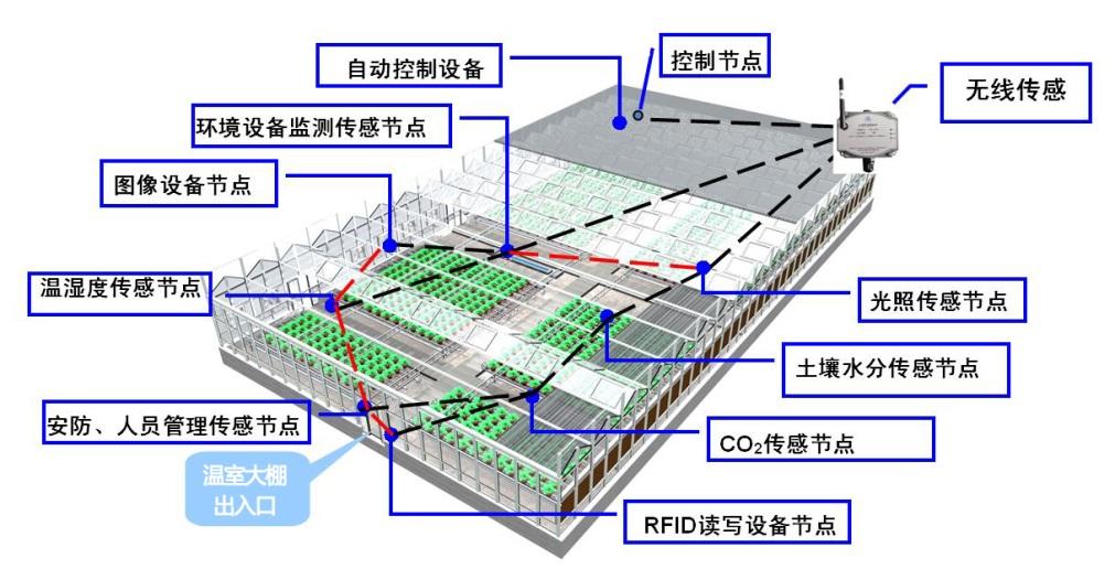 12月东门大桥实时监控图详解及观看使用指南