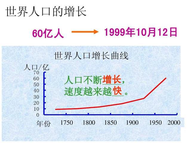 历史上的12月10日实时路况播报使用指南，全面评测与介绍