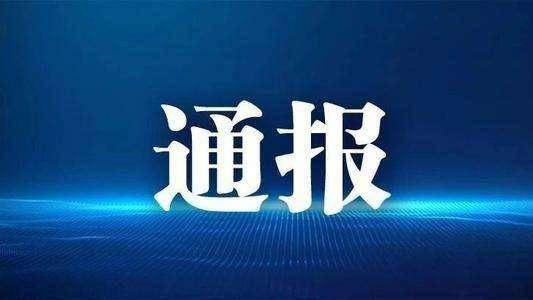 陕西第八套实时直播的影响力深度探讨与观点阐述，历年十二月十日的回顾与洞察