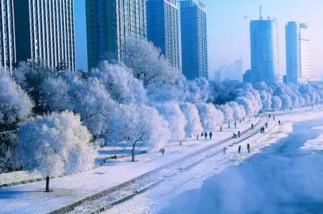 探秘全国下雪城市特色小店，雪中小巷的冬日美食之旅