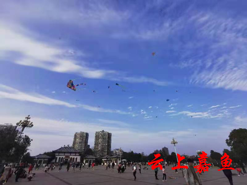 嘉鱼县12月疫情下的力量与励志篇章，变化中的自信与学习之力