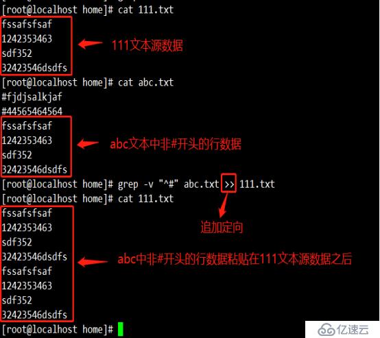 暖心时光，12月CAT指令与温馨日常对话的猫语时光
