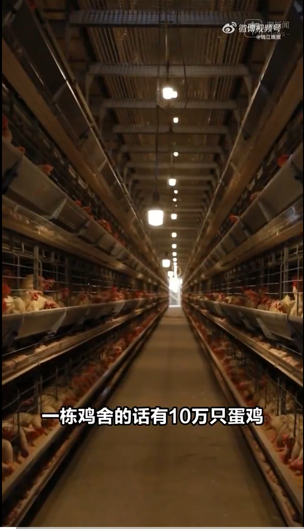 森久 第20页