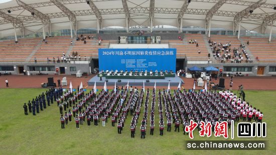 2024年成都肺炎新进展下的心灵与自然对话，实时动态与内心宁静的探索